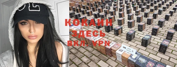 ECSTASY Кодинск