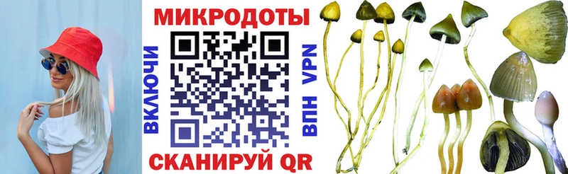 Купить  Ладушкин  Псилоцибиновые грибы Psilocybe 